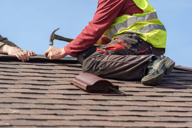 Best Roof Leak Repair  in Necedah, WI