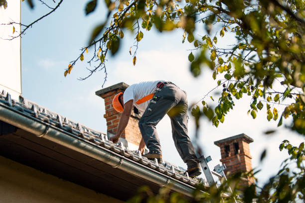 Best Roof Replacement Cost  in Necedah, WI