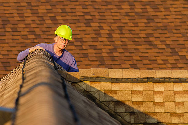 Best Roof Gutter Cleaning  in Necedah, WI