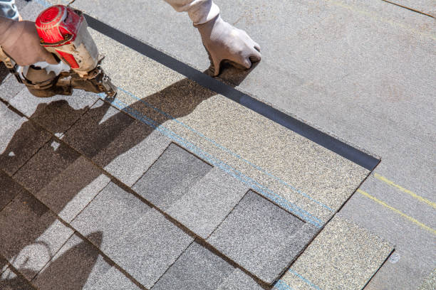 Best Residential Roof Replacement  in Necedah, WI