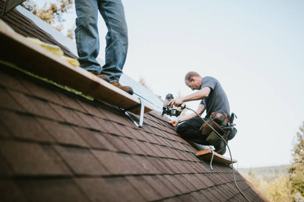 Best Shingle Roofing Installation  in Necedah, WI