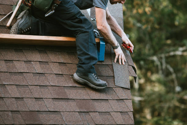 Best Roof Restoration Services  in Necedah, WI